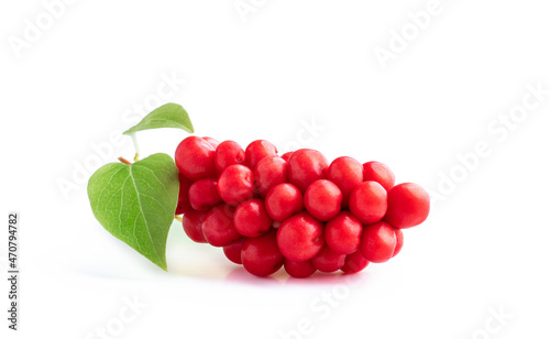 Schisandra Chinensis isolated on white background