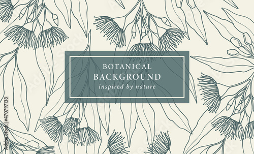 Hand drawn Australian native eucalyptus background