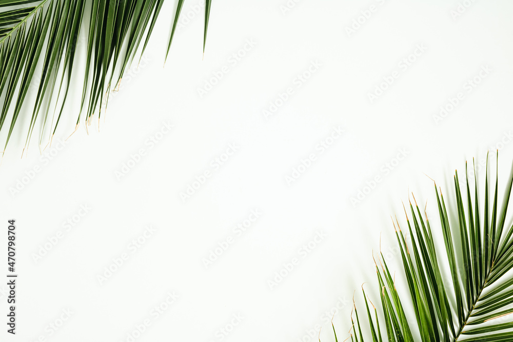 Fototapeta premium Palm leaves lay down on a white background. Minimal flat lay composition with copy space, tropical calming decorative concept