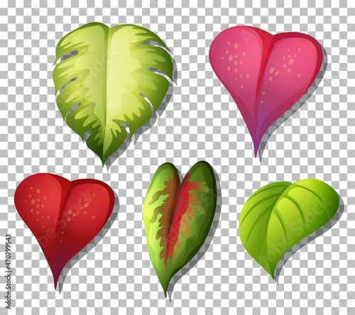 Set of variety tropical plants leaves on transparent background