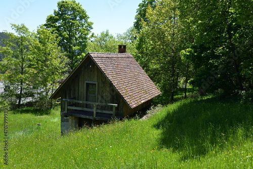 Wooden Shed in Forrest
