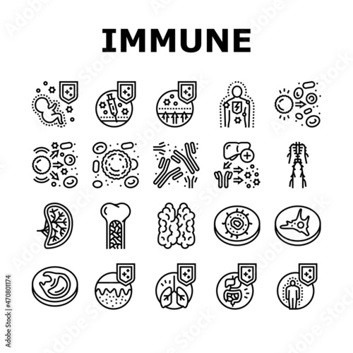 Immune System Disease And Treat Icons Set Vector. Thymus Of Immune And Antibodies, Active And Passive Immunity, Autoimmunity And Macrophage Blood Cell Black Contour Illustrations