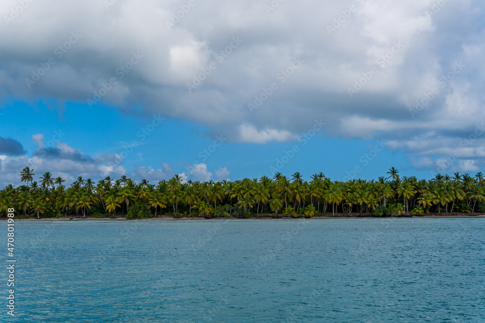 Panorama view of Caribbean landscapes on the beautiful Saona Island in the Dominican Republic Panorama view of Caribbean landscapes on the beautiful Saona Island in the Dominican Republic