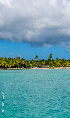 Vertical view of Caribbean landscapes on the beautiful Saona Island in the Dominican Republic