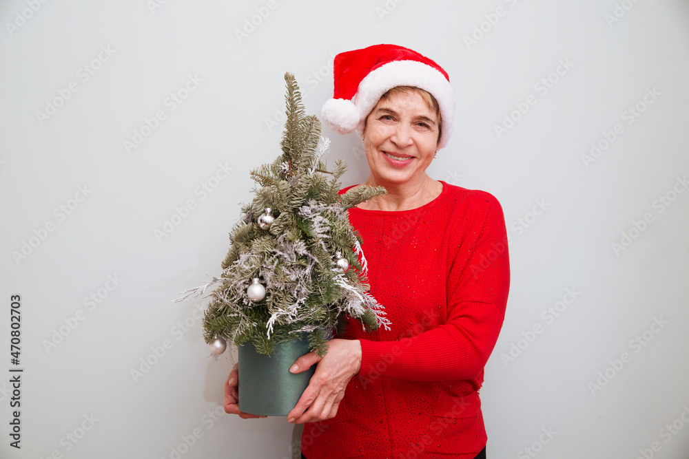 Happy senior woman in Santa red hat is holds holding small decorated christmas tree in a pot. Merry Christmas! Copy space. New Year's background.
Happy senior woman in Santa red hat is holds holding small decorated christmas tree in a pot. Merry Christmas! Copy space. New Year's background.