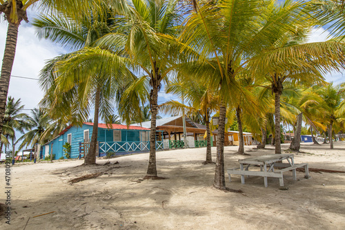 Palmen am Strand auf Saona Island in der Karibik, Dominikanische Republik