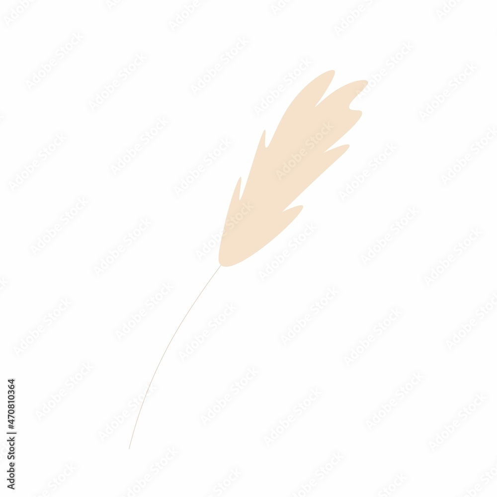 Simple vector illustration of pampas grass Simple vector illustration of pampas grass