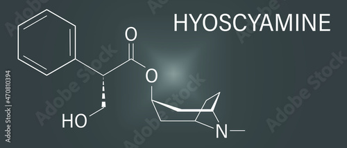 Hyoscyamine alkaloid molecule. Herbal sources include henbane, mandrake, jimsonweed, deadly nightshade and tomato. Skeletal formula. photo