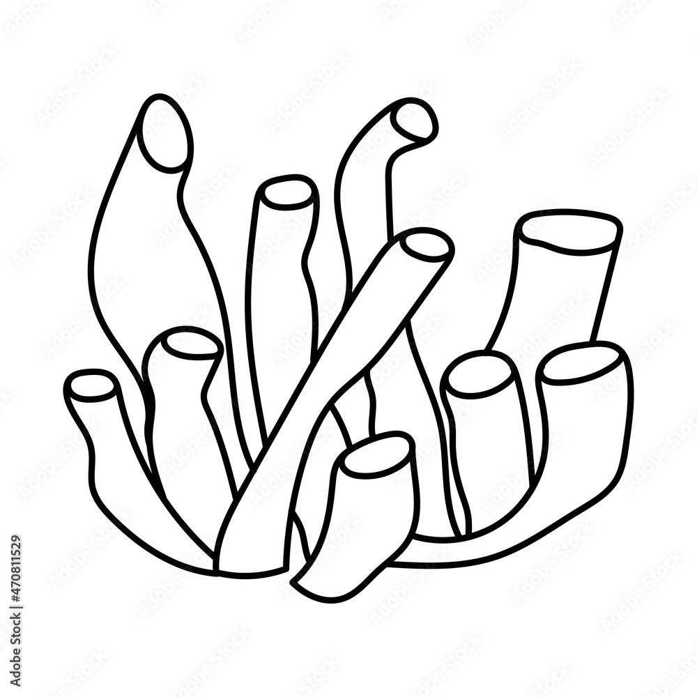Fototapeta premium vector sea anemone doodle isolated on a white background