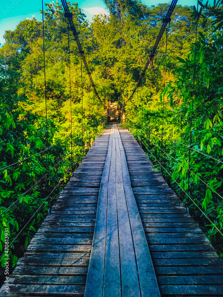 Obraz premium Suspended wooden bridge across jungle lake