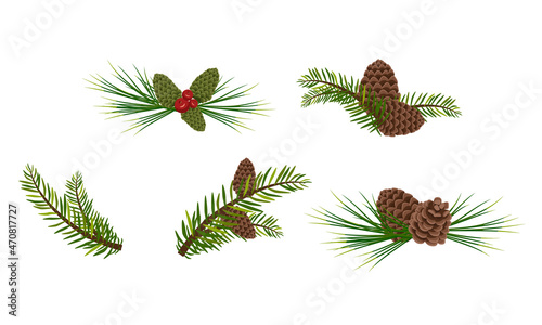 Set of green Christmas fir and pine branches with cones and berries. Festive interior decoration for new year, element for design Christmas wreath on door. Vector flat illustration
