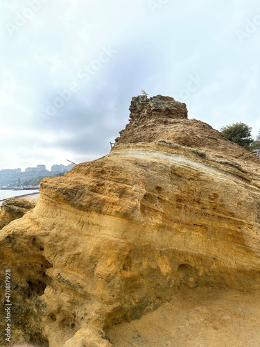 Vertical shot of a seagulls sitting on top of a yellow rock