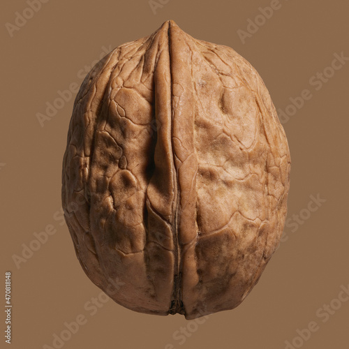 Close up brown German walnut in shell
 photo