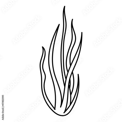Seaweed Algae doodle vector illustration. Vector, isolated on a white background