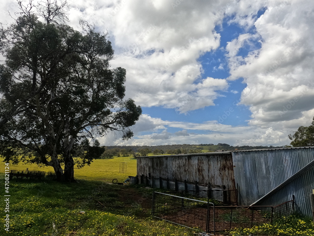 farm shed and meadow