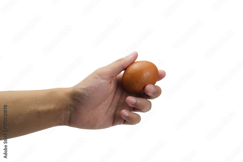 Close up of hand holding chicken egg isolated with white background Close up of hand holding chicken egg isolated with white background
