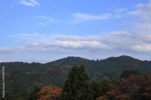 奈良 吉野の紅葉