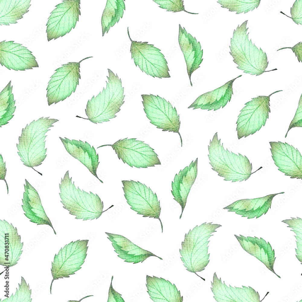 Fresh Mint Leaves Food Watercolor Seamless Pattern