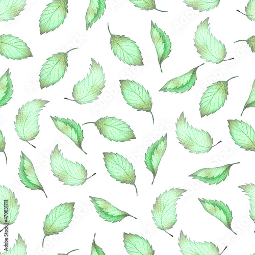 Fresh Mint Leaves Food Watercolor Seamless Pattern