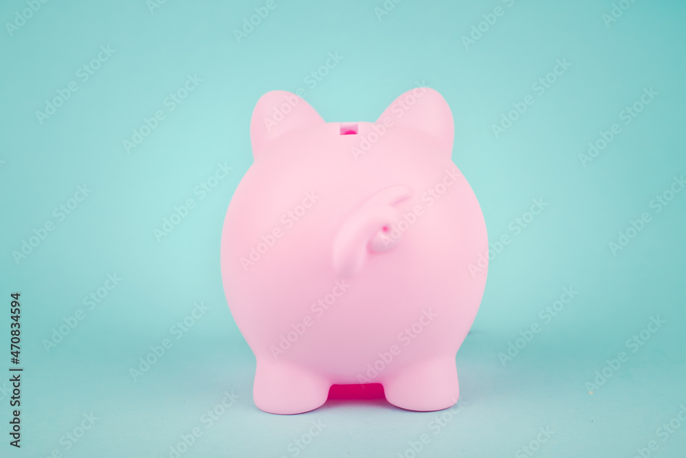 Finance, banking, saving money account. Rear views of piggy bank on white background. Pink Piggybank Back. ack rear view of pink piggy money