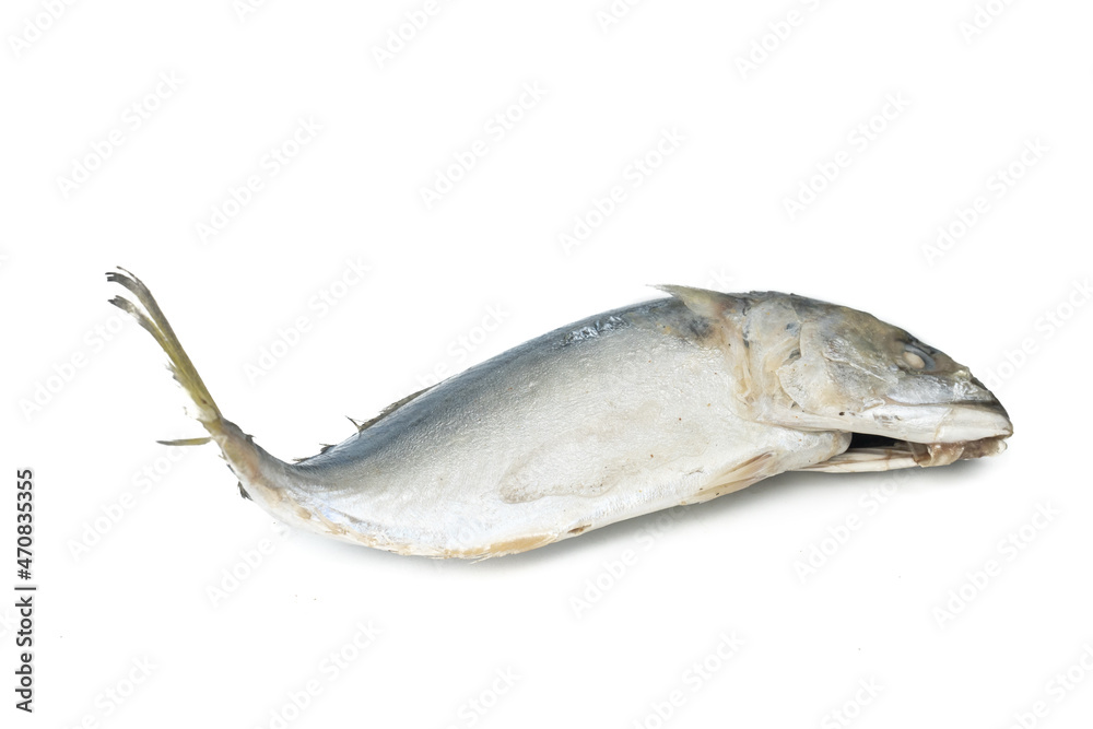Steamed mackerel isolated on white background