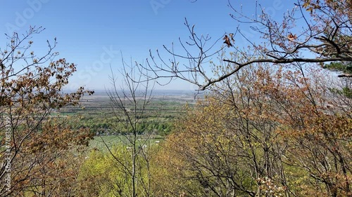 Gault Nature Reserve, scenic look over green pastures through brown leaves at photo