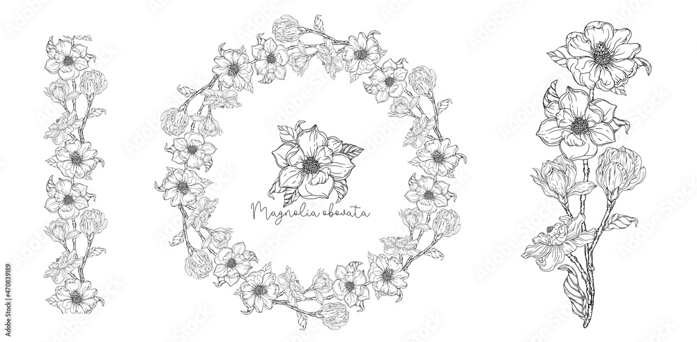 Obraz premium Black and white. White magnolia. Vector illustration. Botanical illustration. Flower Wreath