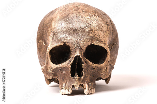 Human skull on isolated white background