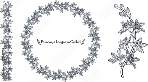 Graphic vector floral wreath with archidia flowers. Black and white drawing