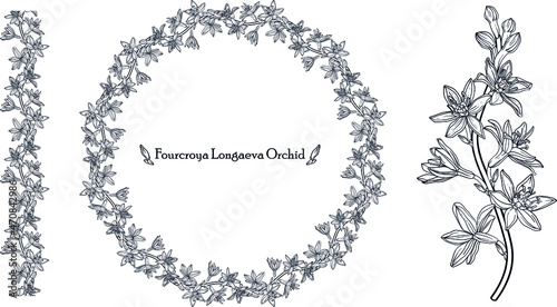Graphic vector floral wreath with archidia flowers. Black and white drawing