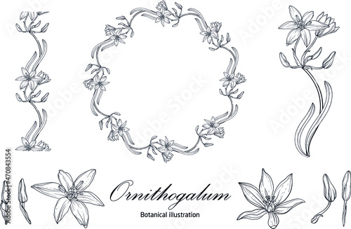 Graphic vector floral wreath with archidia flowers. Black and white drawing