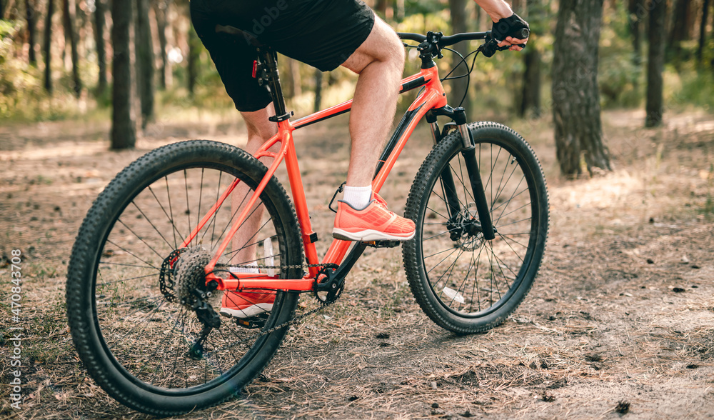 Bicycle with man riding through pine forest Bicycle with man riding through pine forest