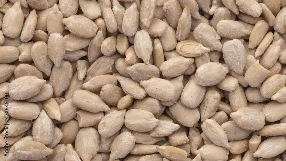 Rotating closeup top view of sunflower seeds. Food backdrop Rotating closeup top view of sunflower seeds. Food backdrop