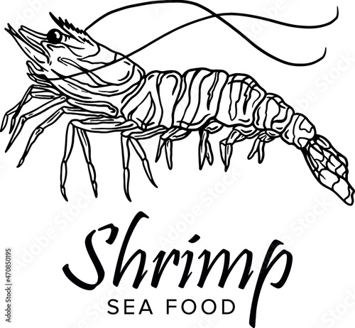 Shrimp prawn icons set. Boiled Shrimp drawing on a white background. Collection shrimp, shrimps without shell, shrimp meat, sushi. Realistic vector illustration for banner, promo