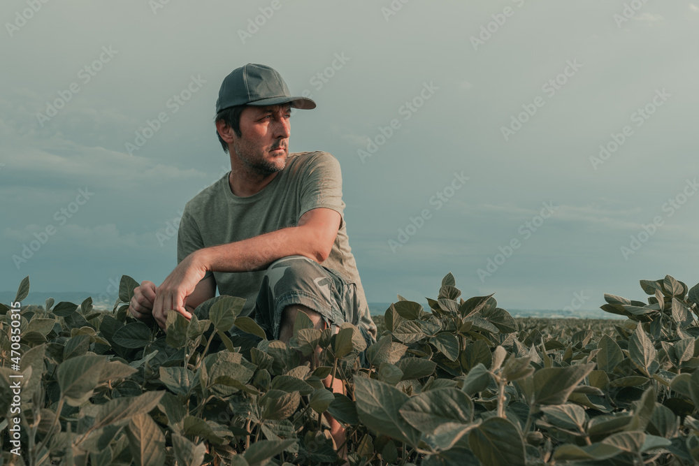Serious concerned agronomist farmer examining development of green soybean crops in plantation field