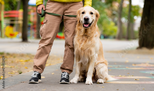 Girl with sitting golden retriever dog at park at autumn day. Owner with labrador doggy pet during walk outdoors
