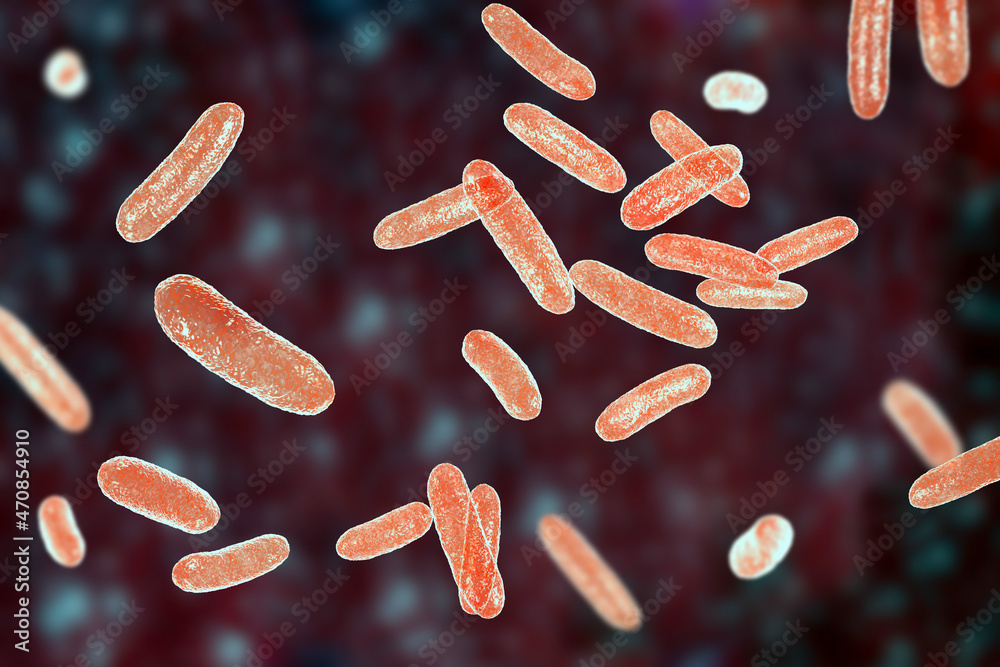 bacteria-citrobacter-gram-negative-coliform-bacteria-from