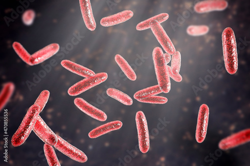 Bacteria Citrobacter, Gram-negative coliform bacteria from Enterobacteriaceae family, 3D illustration photo