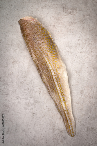 Kabeljaufilet, Dorschfilet mit der Hautseite nach oben photo