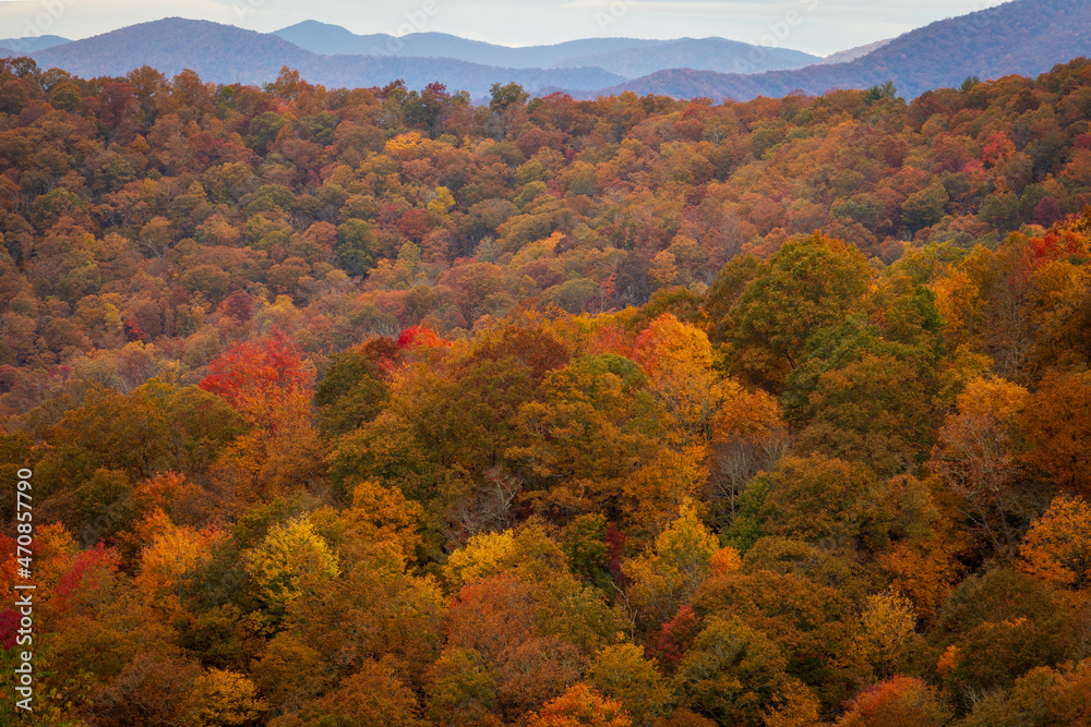 Autumn at Jenkins Ridge Overlook