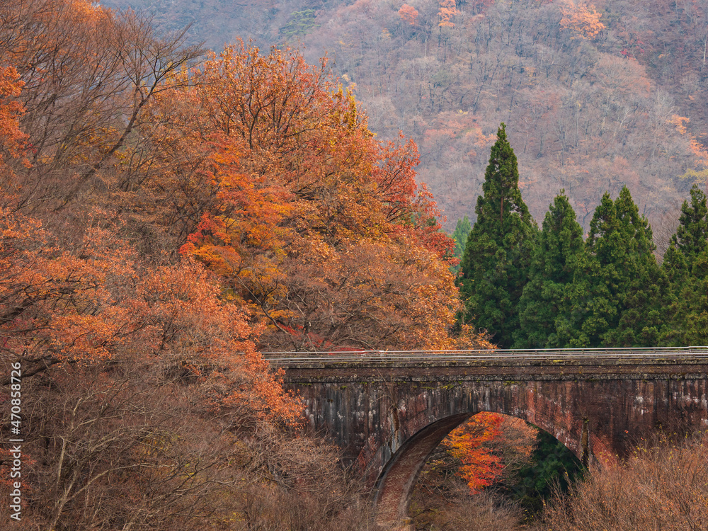 晩秋の廃線跡 信越線、碓氷峠の紅葉 11月 晩秋の廃線跡 信越線、碓氷峠の紅葉 11月