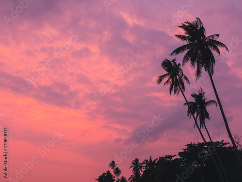 Iconic tall coconut palm tree with against sunset orange sky tropical island. Koh Mak Island, Trat, Thailand. Minimal summer vibe with copy space.