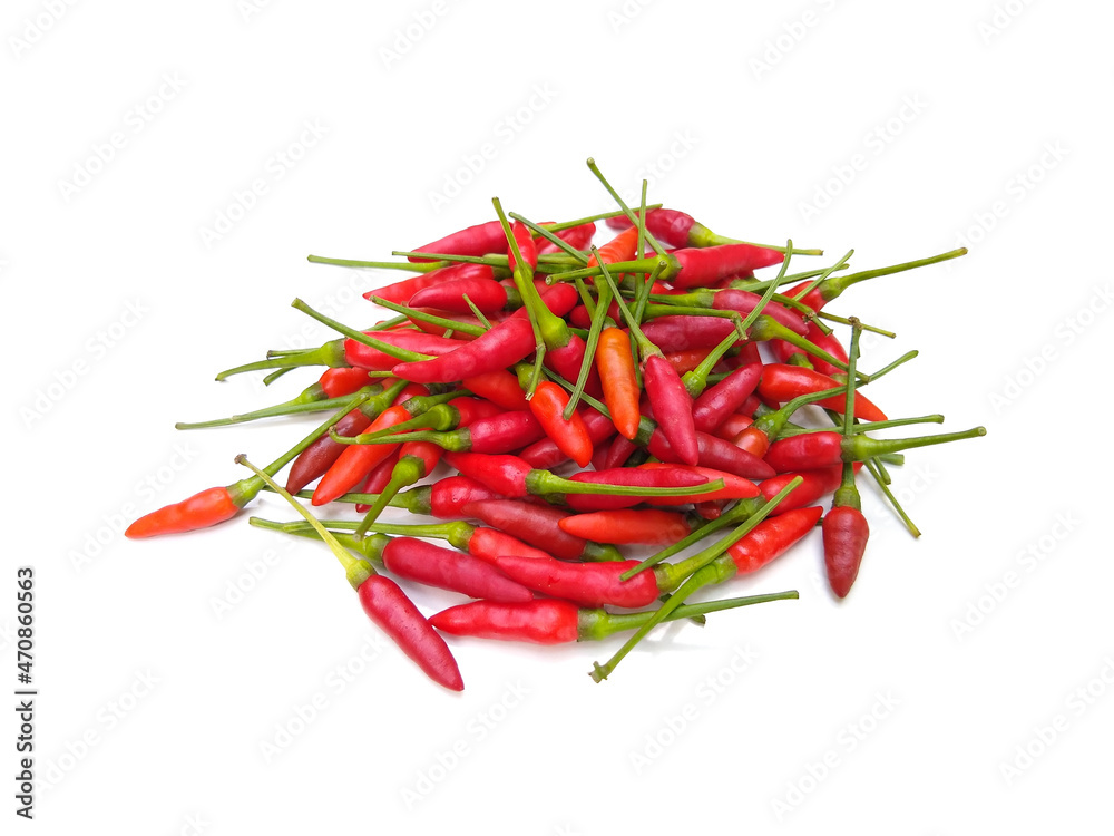 Bird's eye chillies isolated on white background Bird's eye chillies isolated on white background