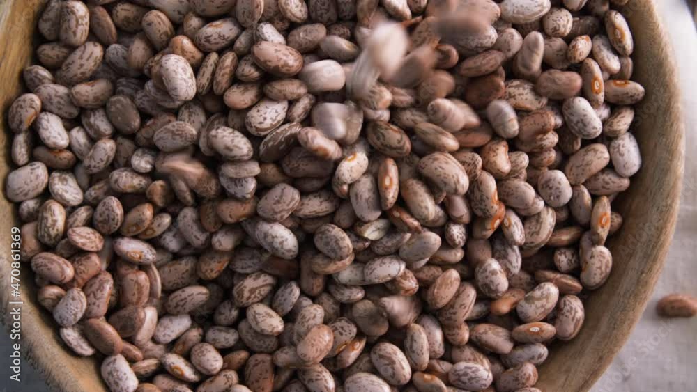 Dried Pinto Beans Dried Pinto Beans