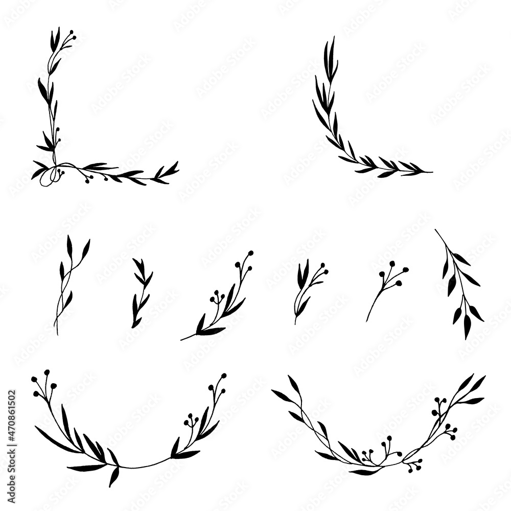 Fototapeta premium Black floral elements are hand drawn. Vector botanical illustration