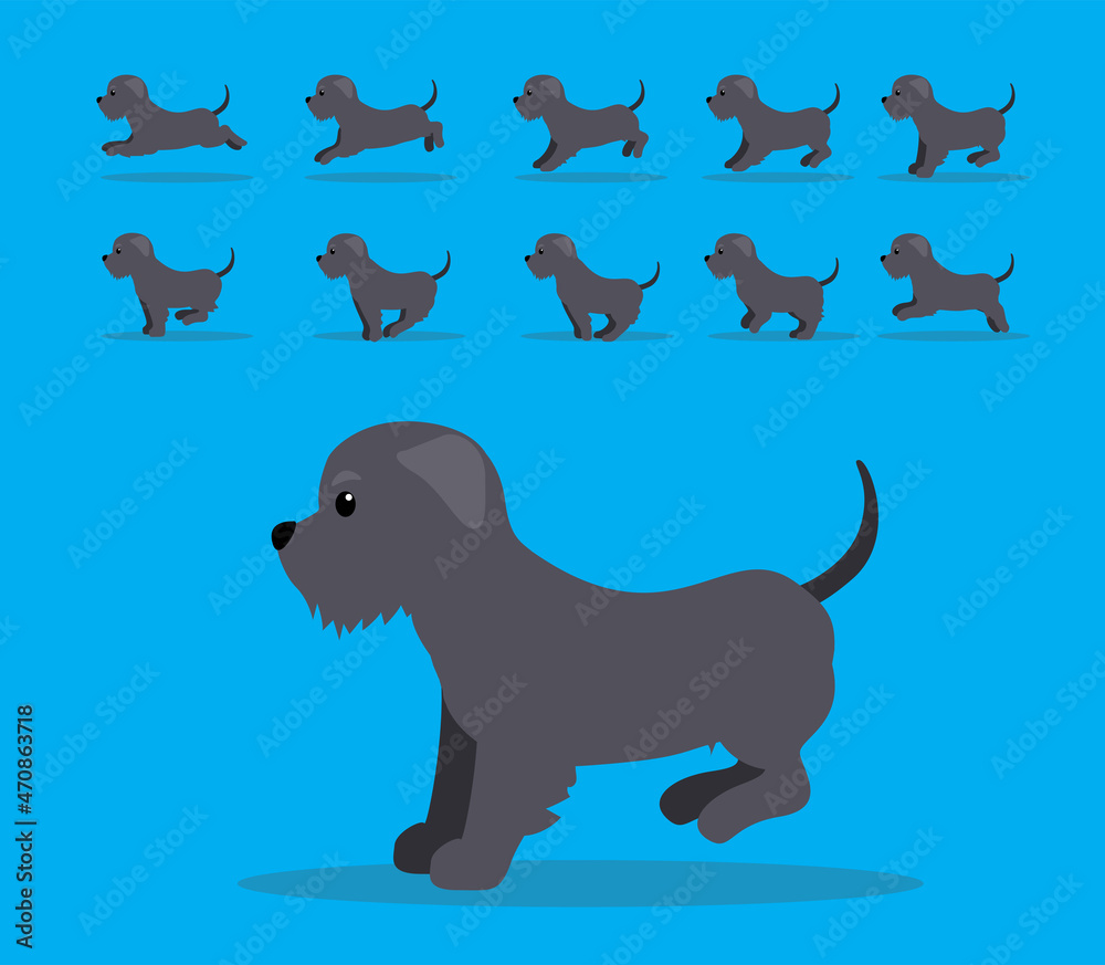 Animal Animation Sequence Dog Irish Wolfhound Cartoon Vector Grey Coat