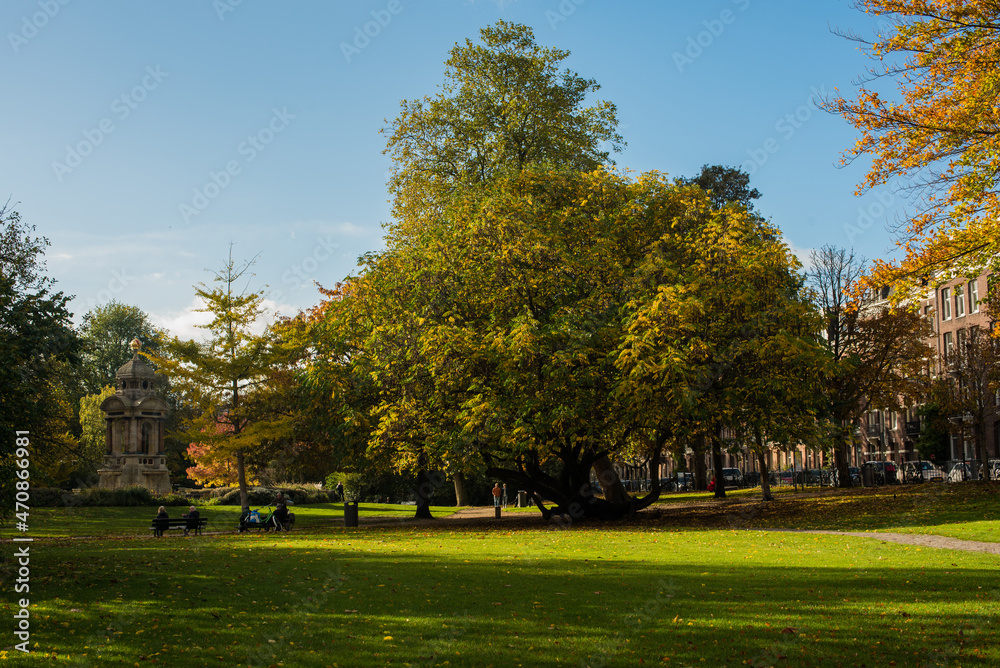 autumn park in Amsterdam