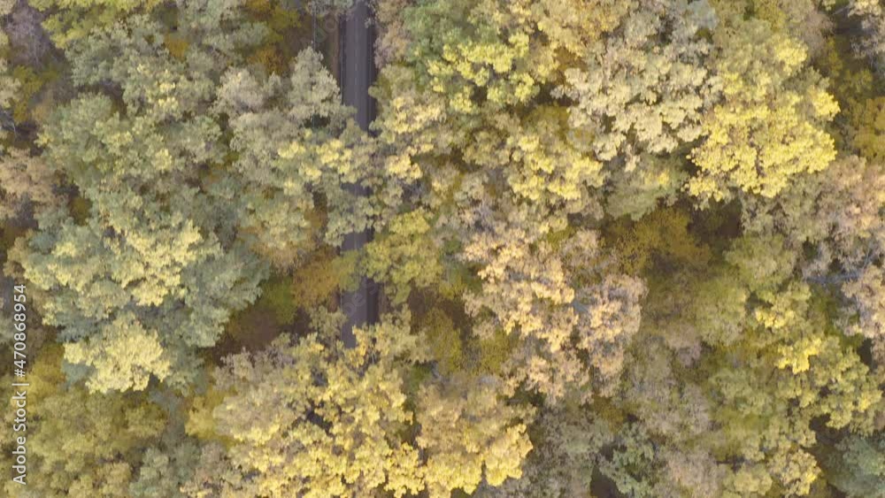 Aerial shot of motorcyclist riding through route in yellow autumnal forest. Motorbike driving at rural road at autumn. Bike moving through scenic landscape way at beautiful fall season. Top view Aerial shot of motorcyclist riding through route in yellow autumnal forest. Motorbike driving at rural road at autumn. Bike moving through scenic landscape way at beautiful fall season. Top view