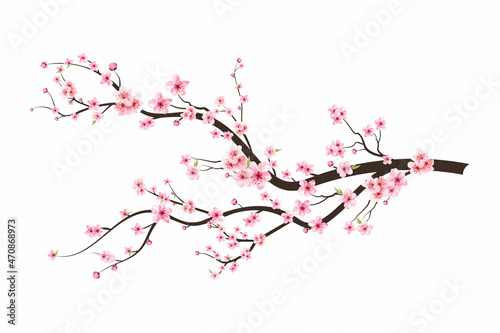 Leinwand Poster Cherry blossom branch with sakura flower