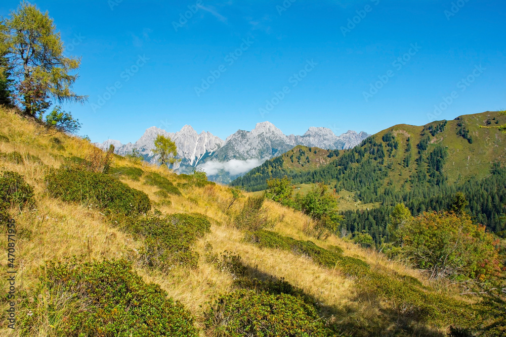 Naklejka premium The late summer - early autumn landscape near Sauris di Sopra, Udine Province, Friuli-Venezia Giulia, north east Italy 